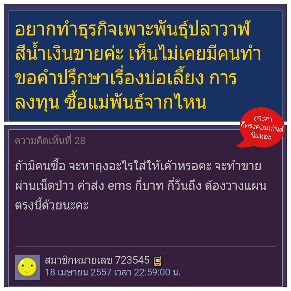 ขำๆ กับคอมเม้นต์ฮาๆ